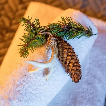 Widokowe Wooden Luxury With Private Jacuzzi זאוב