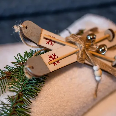 Domek alpejski Widokowe Wooden Luxury Ząb