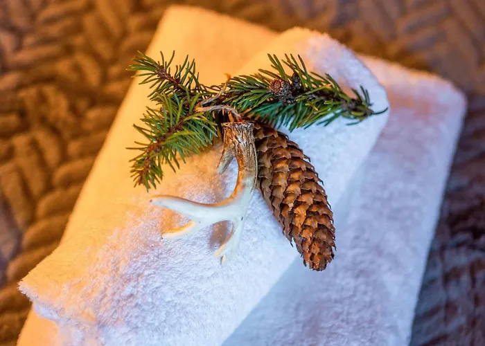 Domki Widokowe Wooden Luxury Chalet With Private Jacuzzi Zab